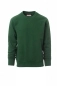Preview: Herren Sweatshirt ORLANDO grün